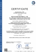 CHINA Wuhan Linmei Head Plate Co., Ltd. zertifizierungen